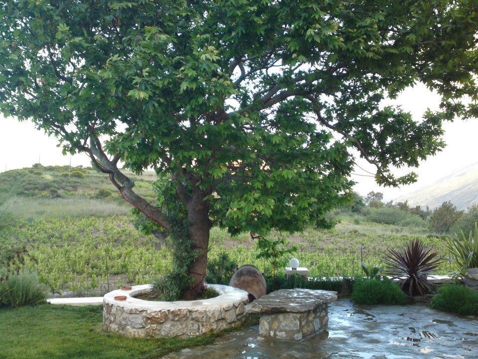 Elia Méronas Exterior foto